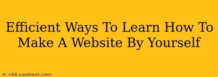 Efficient Ways To Learn How To Make A Website By Yourself