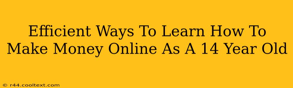 Efficient Ways To Learn How To Make Money Online As A 14 Year Old