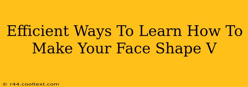 Efficient Ways To Learn How To Make Your Face Shape V