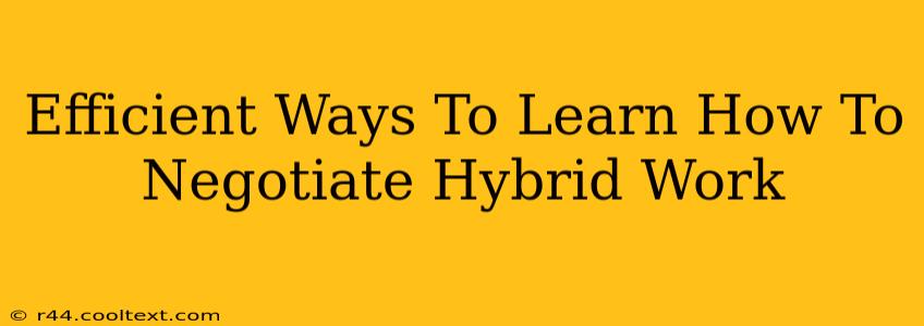 Efficient Ways To Learn How To Negotiate Hybrid Work