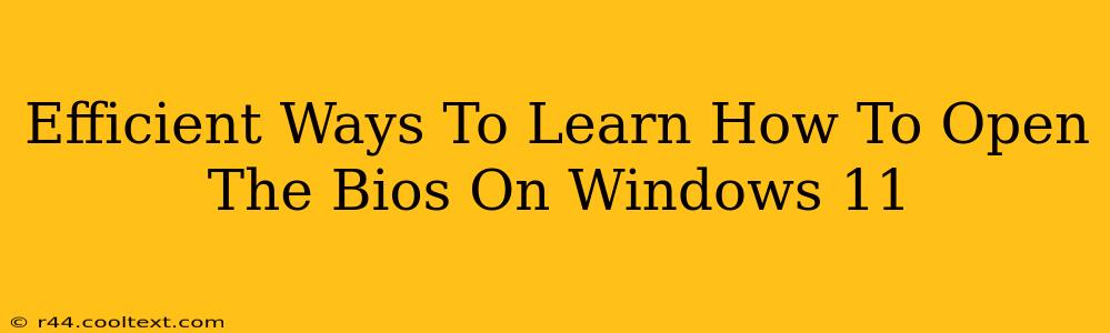 Efficient Ways To Learn How To Open The Bios On Windows 11