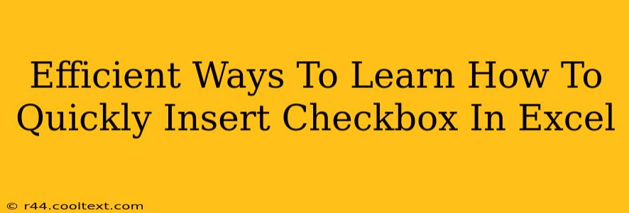 Efficient Ways To Learn How To Quickly Insert Checkbox In Excel