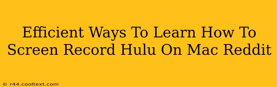 Efficient Ways To Learn How To Screen Record Hulu On Mac Reddit