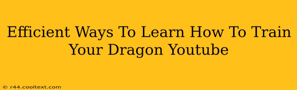 Efficient Ways To Learn How To Train Your Dragon Youtube