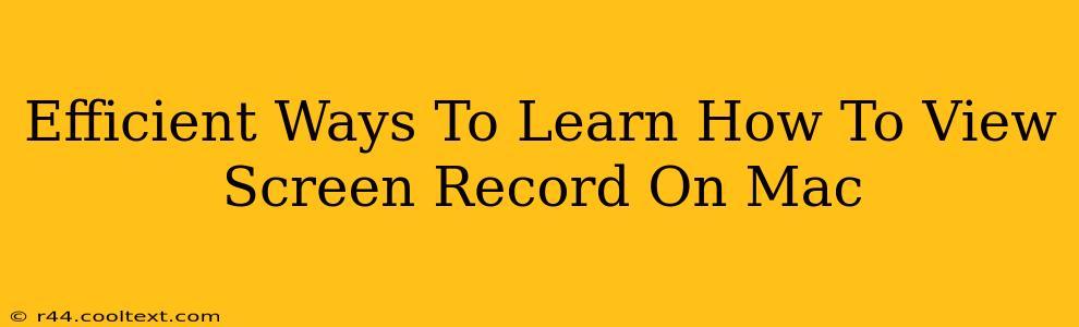 Efficient Ways To Learn How To View Screen Record On Mac