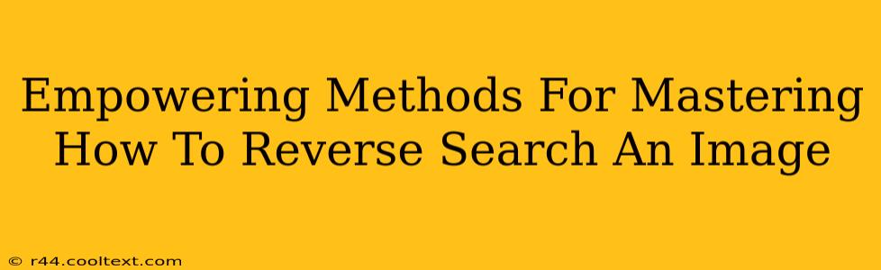 Empowering Methods For Mastering How To Reverse Search An Image