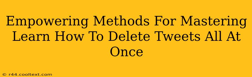 Empowering Methods For Mastering Learn How To Delete Tweets All At Once