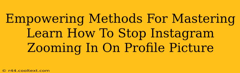 Empowering Methods For Mastering Learn How To Stop Instagram Zooming In On Profile Picture