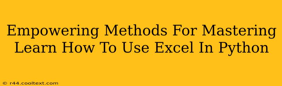 Empowering Methods For Mastering Learn How To Use Excel In Python