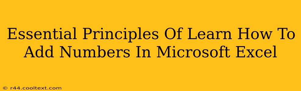 Essential Principles Of Learn How To Add Numbers In Microsoft Excel