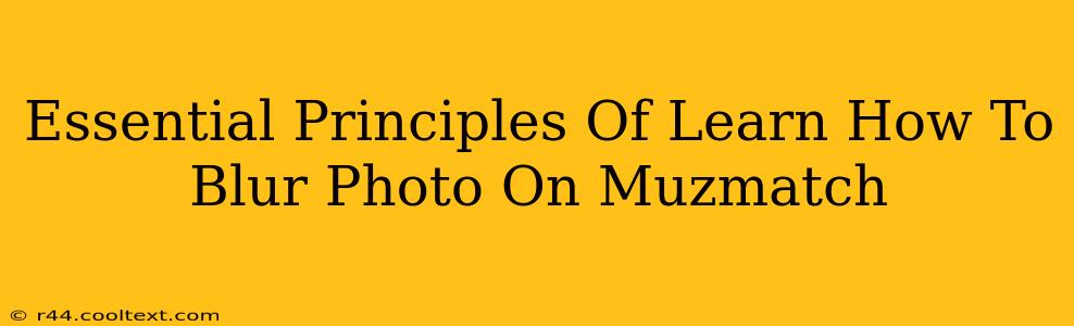 Essential Principles Of Learn How To Blur Photo On Muzmatch