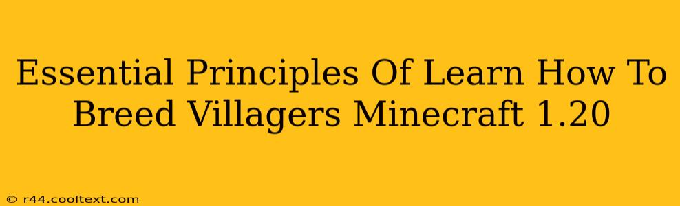 Essential Principles Of Learn How To Breed Villagers Minecraft 1.20