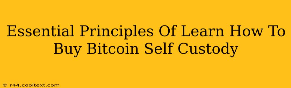 Essential Principles Of Learn How To Buy Bitcoin Self Custody