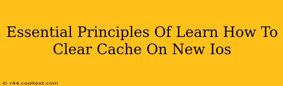 Essential Principles Of Learn How To Clear Cache On New Ios