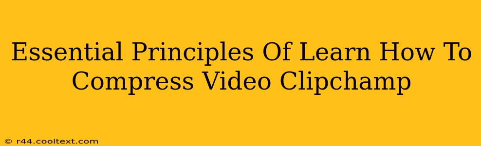 Essential Principles Of Learn How To Compress Video Clipchamp