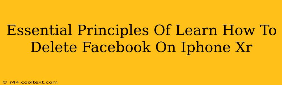 Essential Principles Of Learn How To Delete Facebook On Iphone Xr