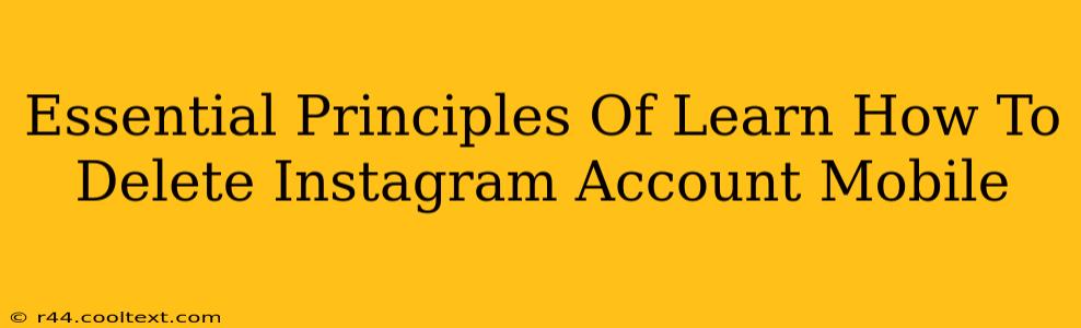 Essential Principles Of Learn How To Delete Instagram Account Mobile