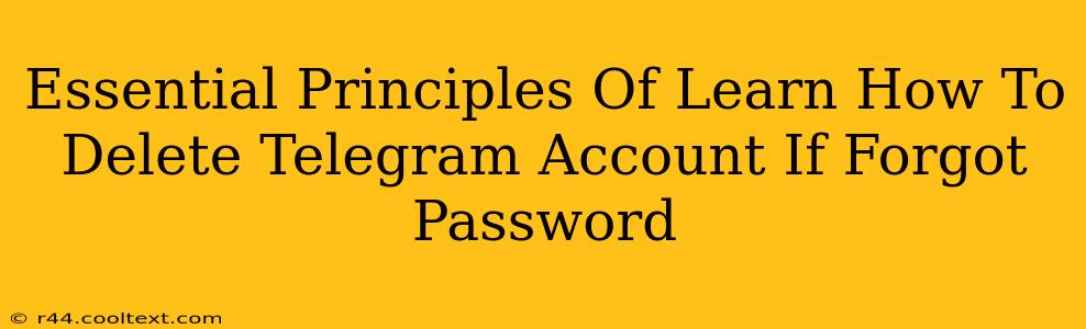 Essential Principles Of Learn How To Delete Telegram Account If Forgot Password