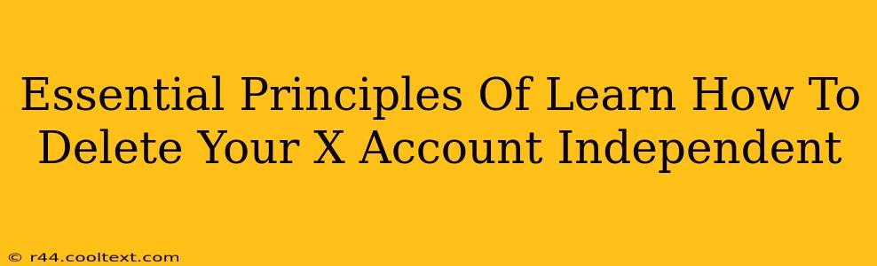 Essential Principles Of Learn How To Delete Your X Account Independent