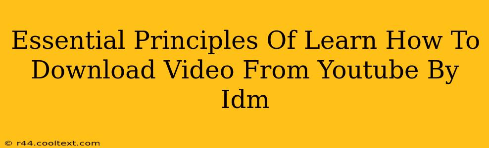 Essential Principles Of Learn How To Download Video From Youtube By Idm