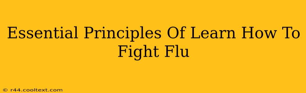 Essential Principles Of Learn How To Fight Flu