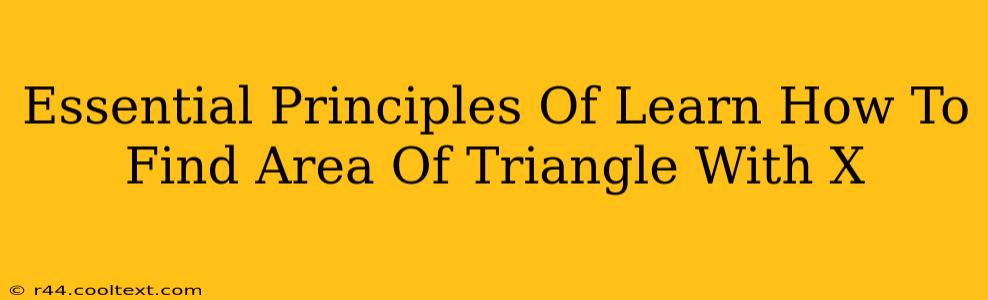 Essential Principles Of Learn How To Find Area Of Triangle With X