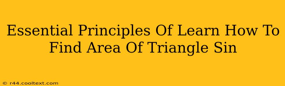 Essential Principles Of Learn How To Find Area Of Triangle Sin