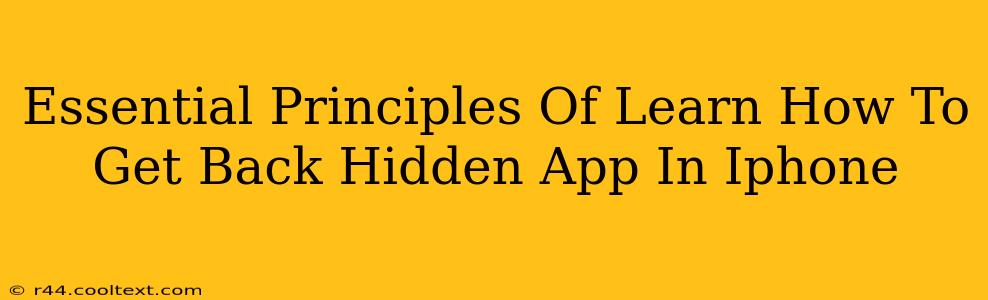 Essential Principles Of Learn How To Get Back Hidden App In Iphone