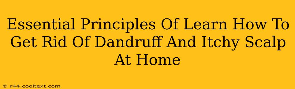 Essential Principles Of Learn How To Get Rid Of Dandruff And Itchy Scalp At Home