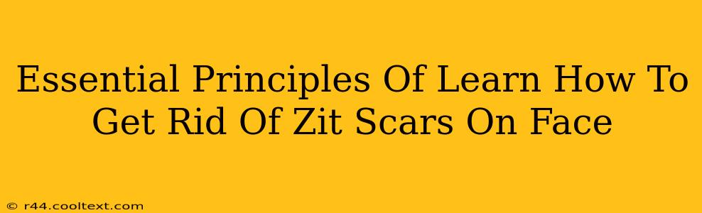 Essential Principles Of Learn How To Get Rid Of Zit Scars On Face