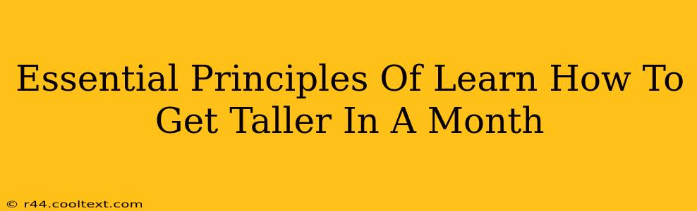 Essential Principles Of Learn How To Get Taller In A Month