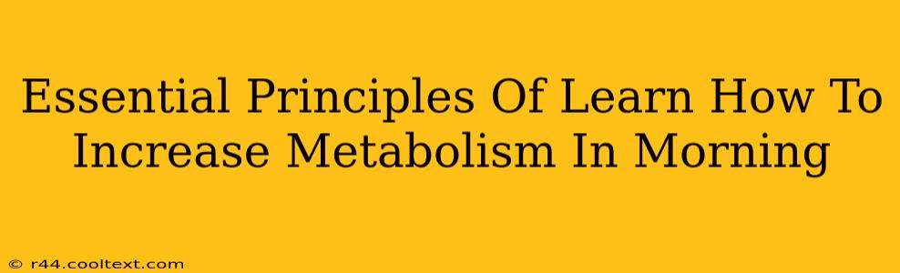 Essential Principles Of Learn How To Increase Metabolism In Morning