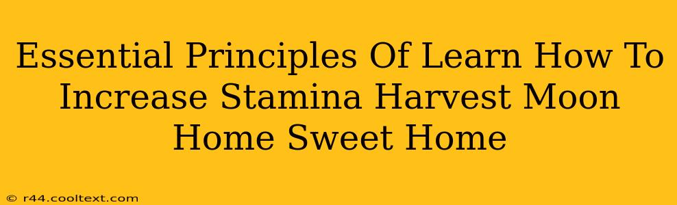 Essential Principles Of Learn How To Increase Stamina Harvest Moon Home Sweet Home