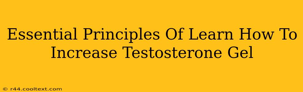 Essential Principles Of Learn How To Increase Testosterone Gel