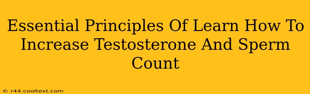 Essential Principles Of Learn How To Increase Testosterone And Sperm Count