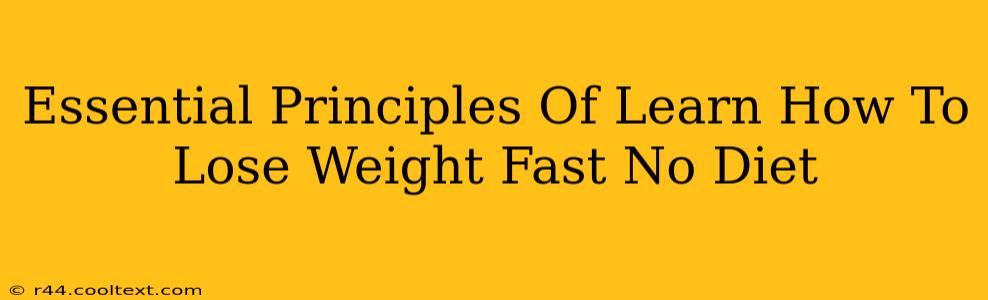 Essential Principles Of Learn How To Lose Weight Fast No Diet