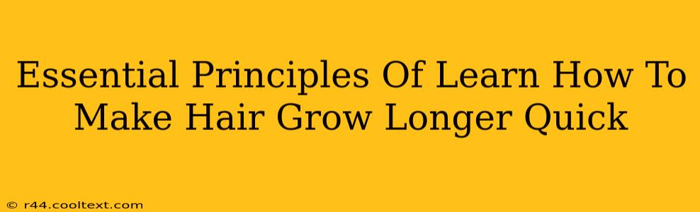 Essential Principles Of Learn How To Make Hair Grow Longer Quick