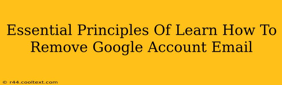 Essential Principles Of Learn How To Remove Google Account Email