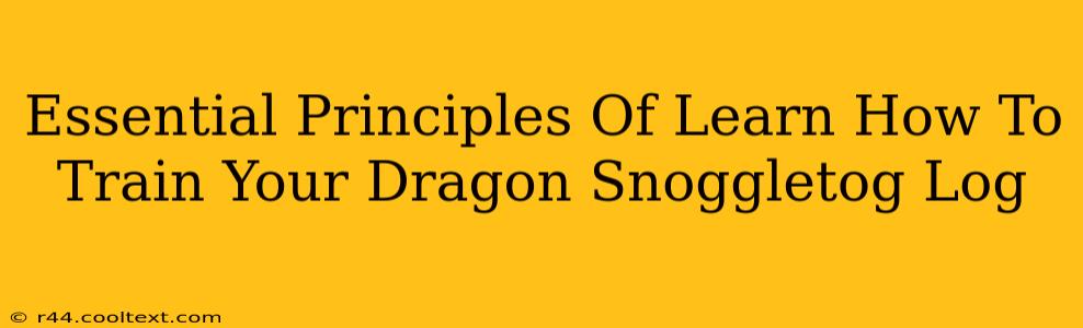 Essential Principles Of Learn How To Train Your Dragon Snoggletog Log