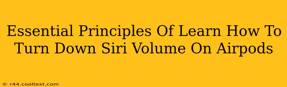 Essential Principles Of Learn How To Turn Down Siri Volume On Airpods