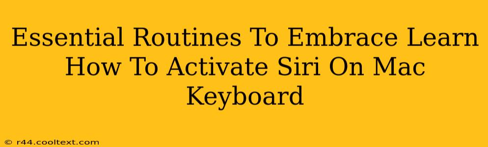 Essential Routines To Embrace Learn How To Activate Siri On Mac Keyboard