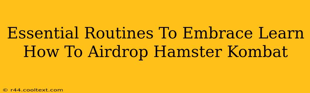 Essential Routines To Embrace Learn How To Airdrop Hamster Kombat