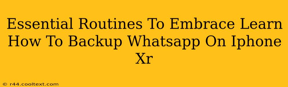 Essential Routines To Embrace Learn How To Backup Whatsapp On Iphone Xr