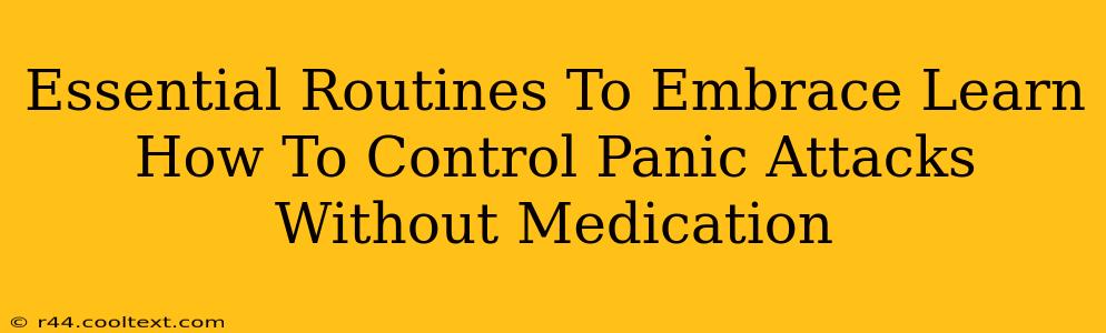 Essential Routines To Embrace Learn How To Control Panic Attacks Without Medication