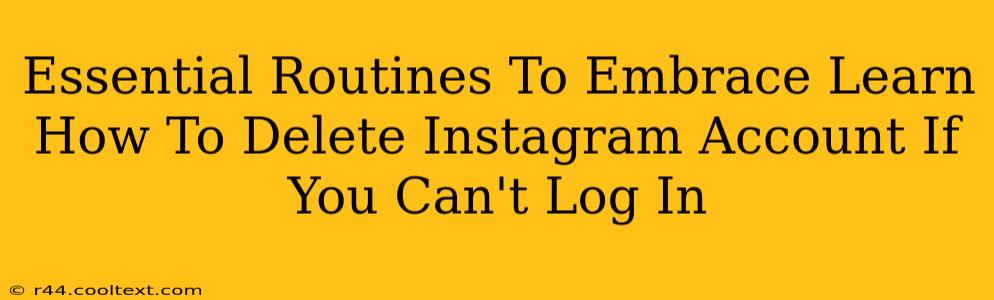 Essential Routines To Embrace Learn How To Delete Instagram Account If You Can't Log In