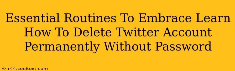 Essential Routines To Embrace Learn How To Delete Twitter Account Permanently Without Password