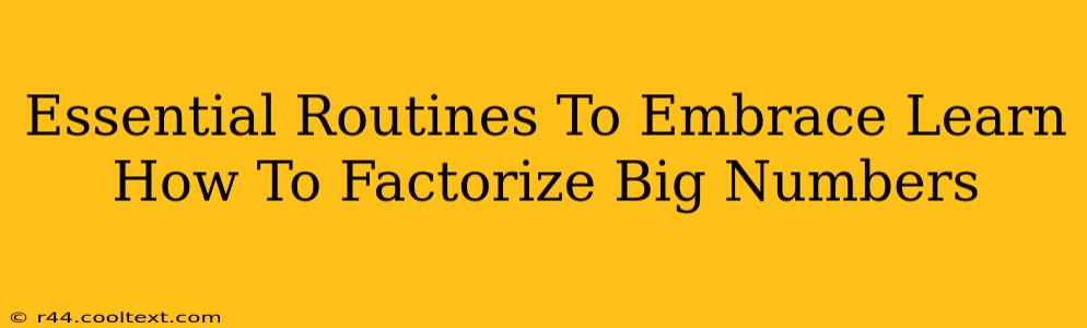 Essential Routines To Embrace Learn How To Factorize Big Numbers