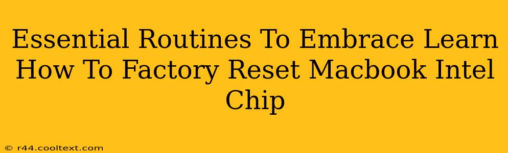 Essential Routines To Embrace Learn How To Factory Reset Macbook Intel Chip