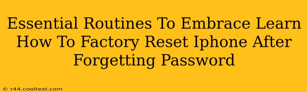 Essential Routines To Embrace Learn How To Factory Reset Iphone After Forgetting Password