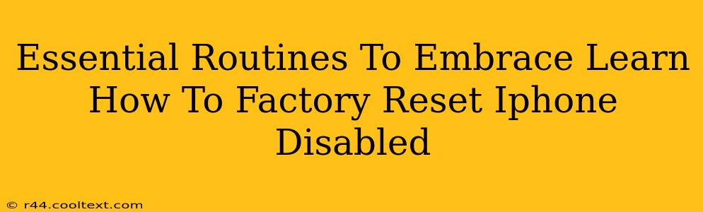 Essential Routines To Embrace Learn How To Factory Reset Iphone Disabled